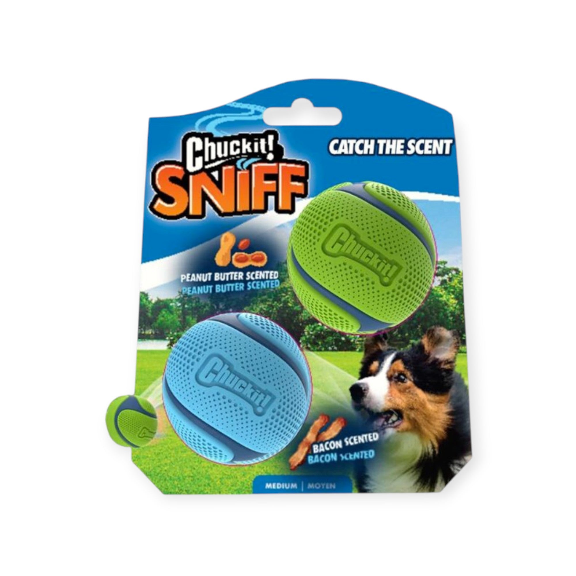 Sniff Fetch bold