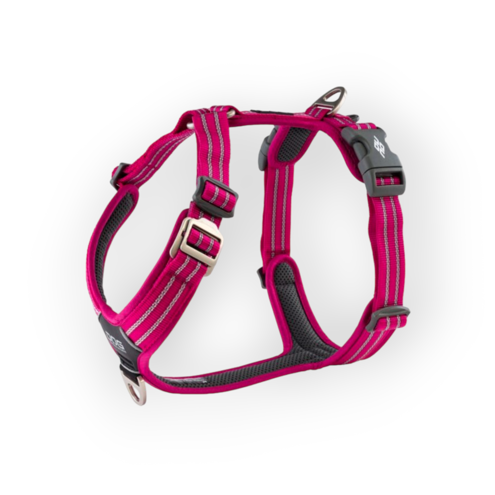 Comfort Walk Air Sele