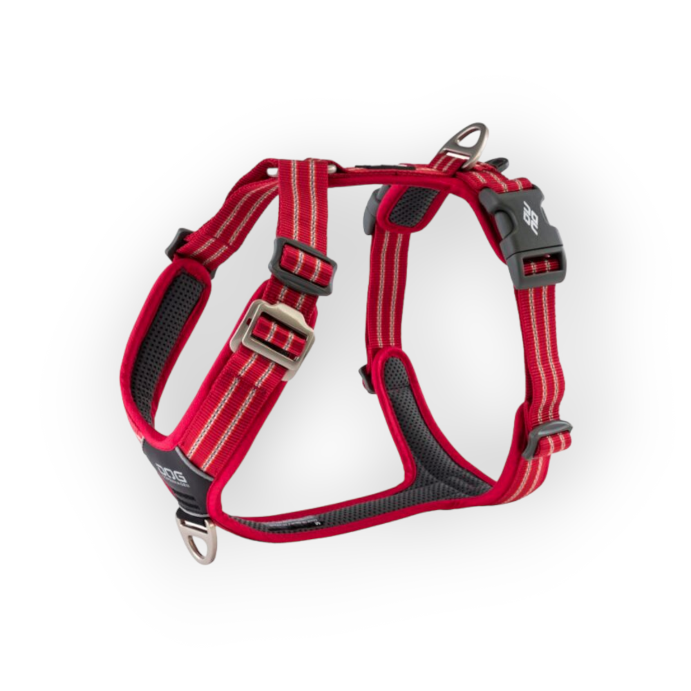 Comfort Walk Air Sele