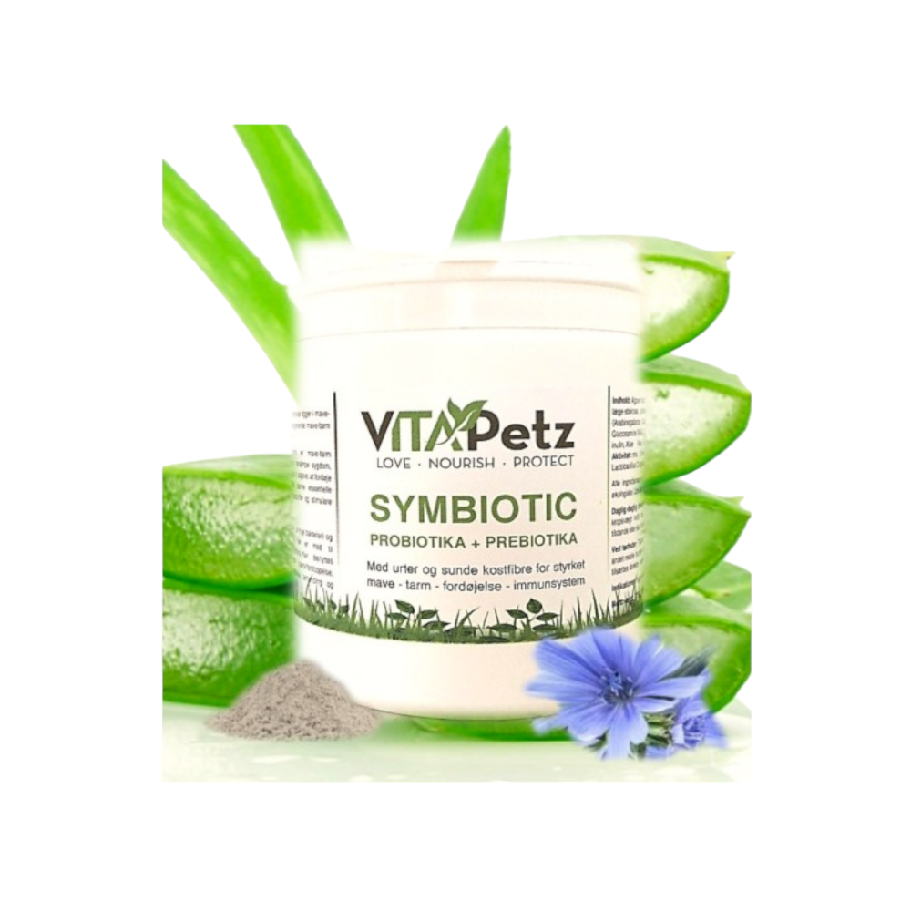 Symbiotic, Probiotika + Prebiotika
