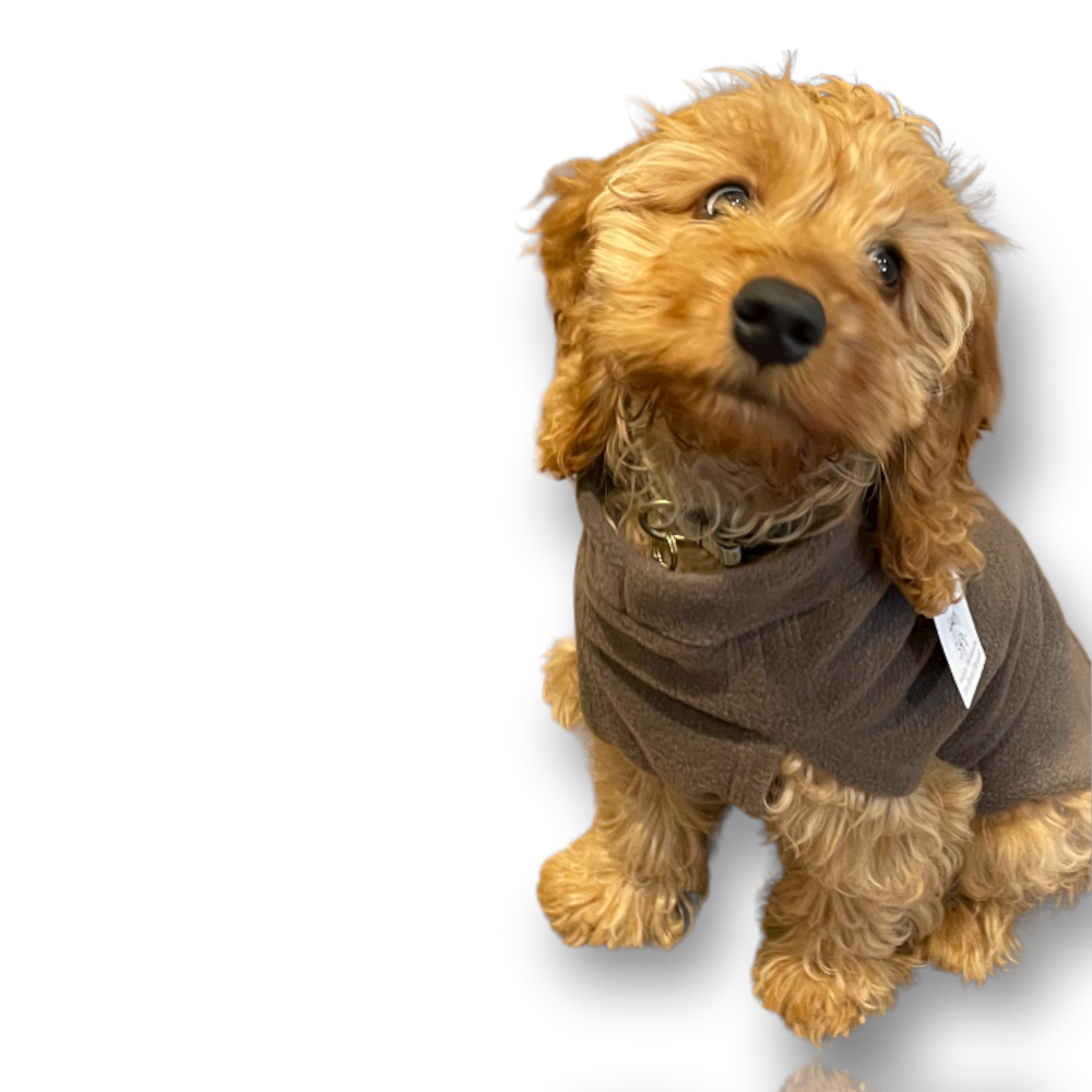 Fleece - cafe latté