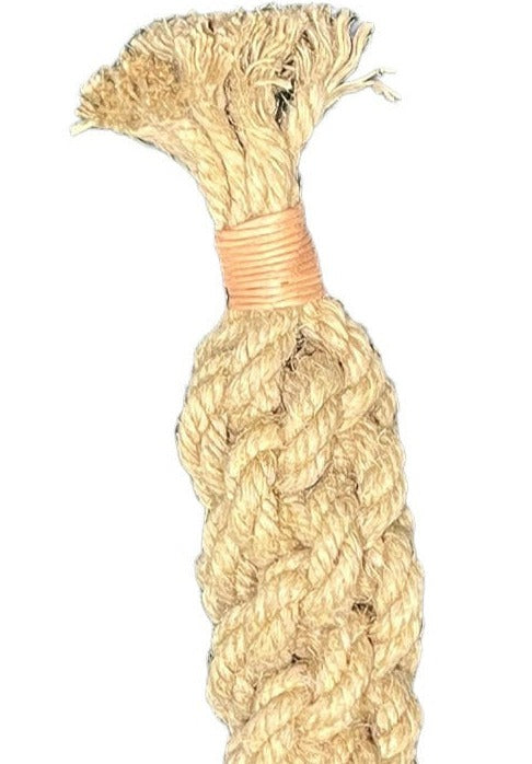 Hampereb Legetøj - Twister