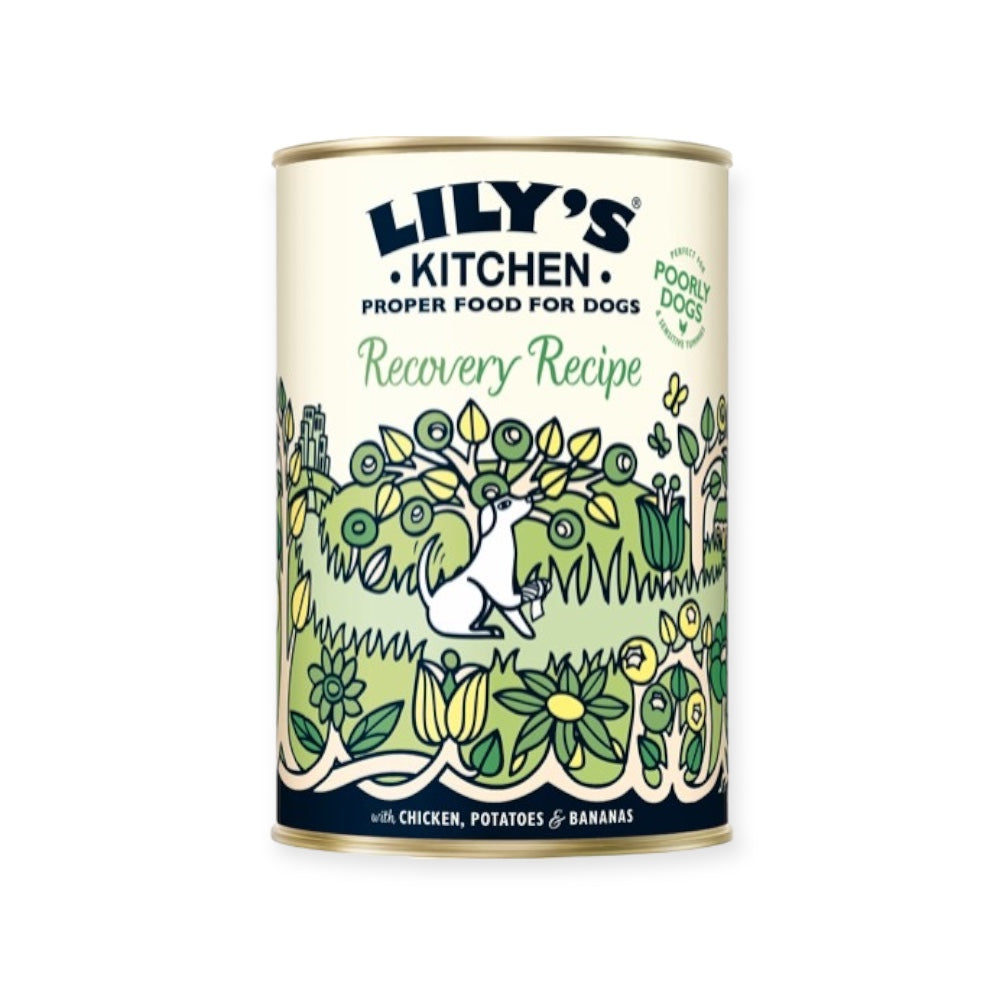 Lily's Kitchen - Recovery recipe