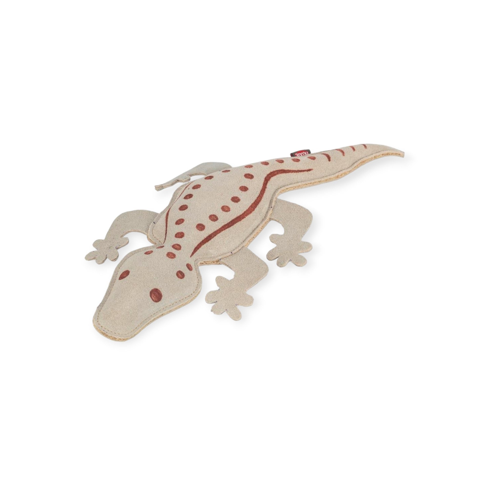 Salamander